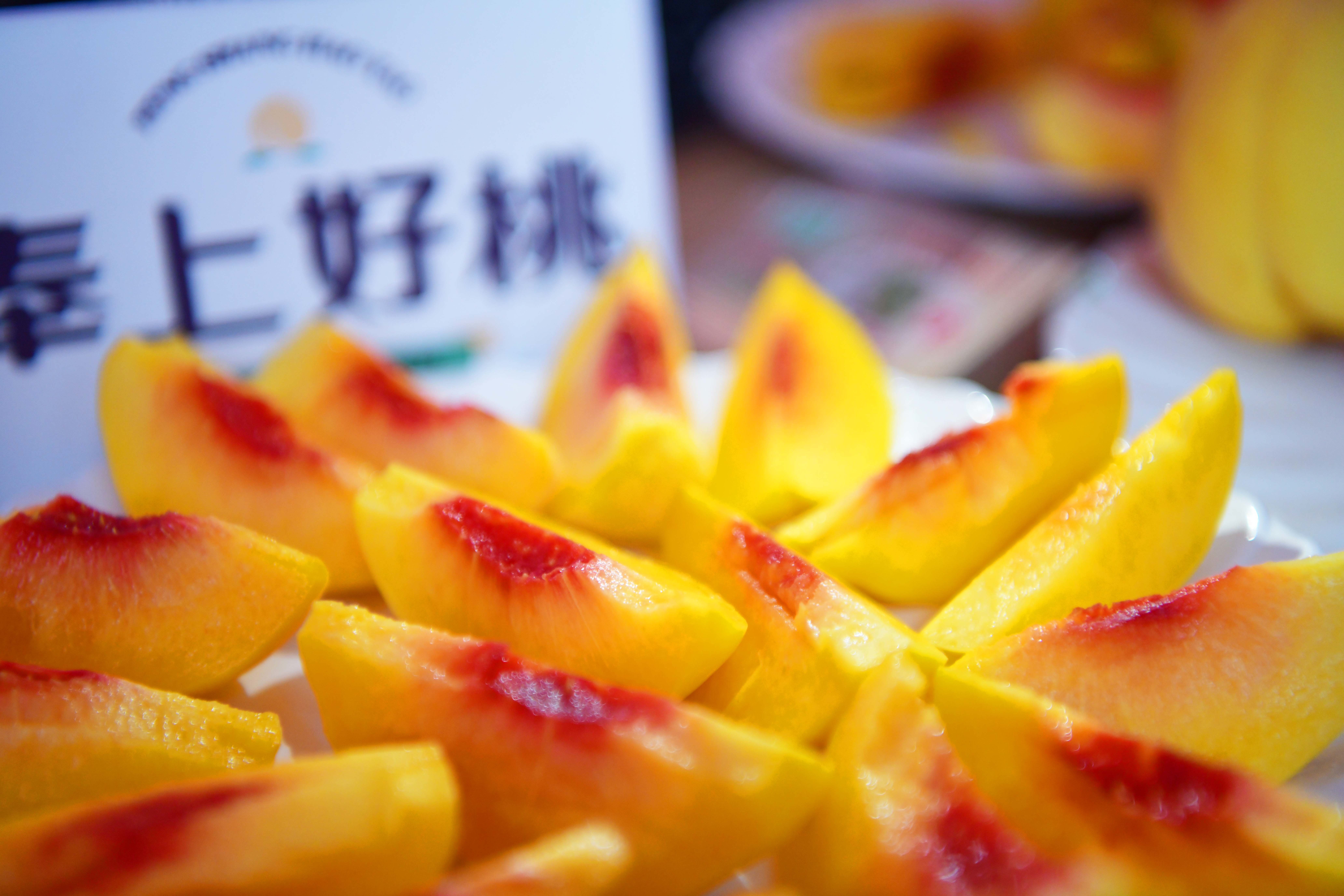 赤子(zi)之(zhi)心 奉上好桃