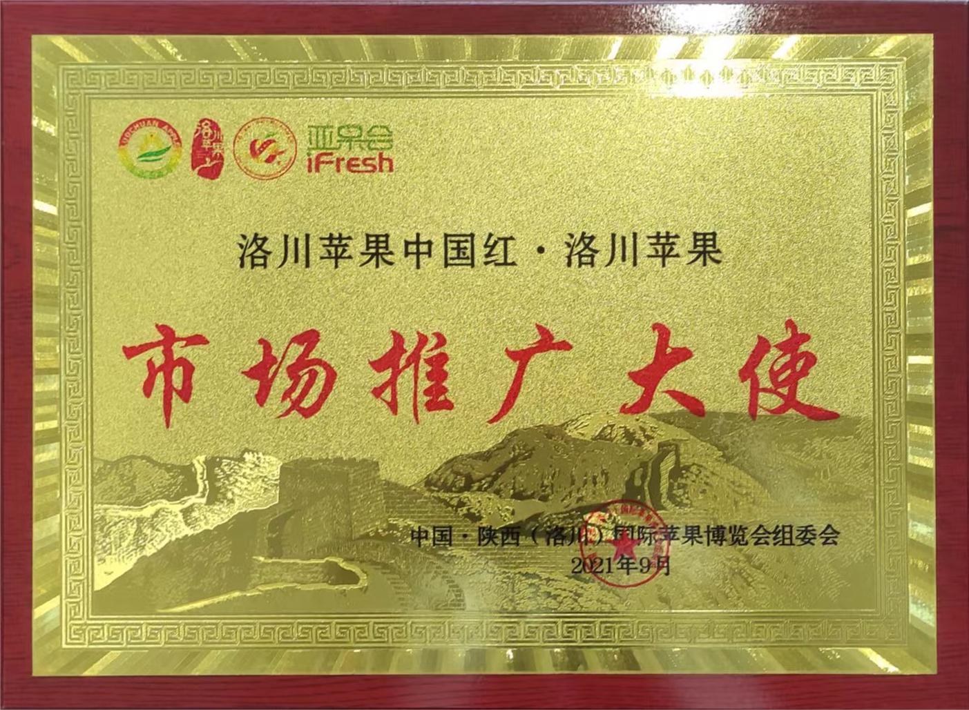 洛川蘋果中(zhong)國(guo)紅(hong)·洛川蘋果市(shi)場(chang)推廣(guang)大(da)使