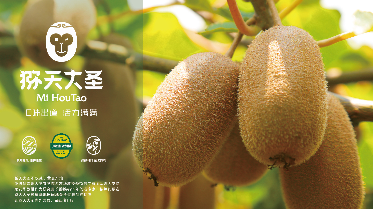 嗨，猕天大(da)聖又(yòu)見面啦！