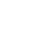 洪九果品(pin)